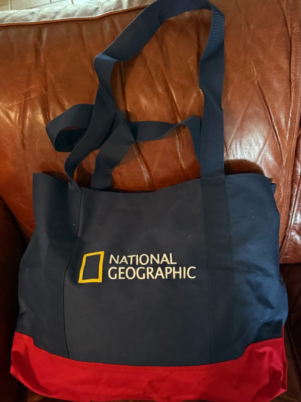 Rare National Geographic Blue And Red Tote Bag. VTG NatGeo Magazine 16x21